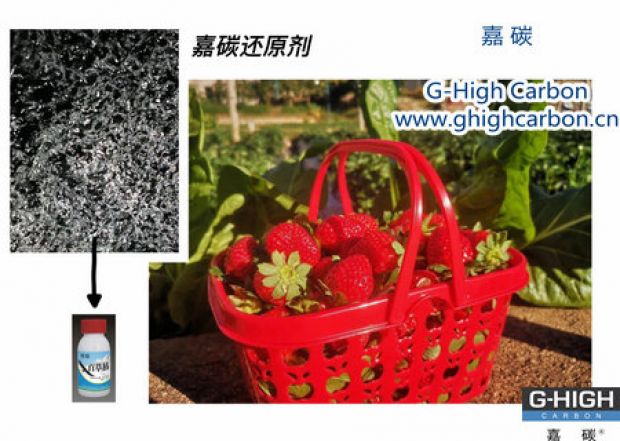 嘉碳還原劑守護“莓”好，甜蜜上線