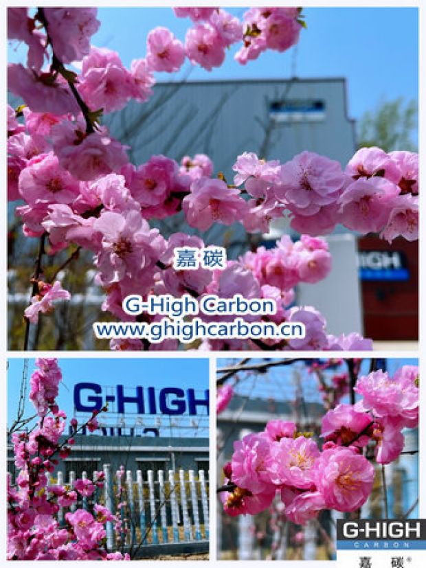 環(huán)保嘉碳，春花爛漫